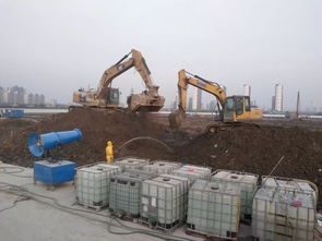 土壤修复还绿意盎然,上海建工这样做